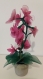 Orchidées roses nylon sur tige et feuilles