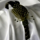 Serre-tête verte décorée de plumes et de perles