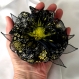 Grande barrette fleur en tissu & plumes et perles 130