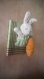 Cadre lapin jardinier avec sa carotte en peluche pour décoration