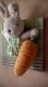 Cadre lapin jardinier avec sa carotte en peluche pour décoration