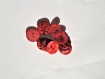 Bouton nacre rouge vintage 22 mm rond plat lot de 9
