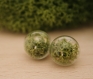 Moss earrings moss studs real dried moss green moss earrings terrarium earrings  botanical earrings eco friendly jewelry real moss earrings