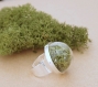 Moss terrarium ring terrarium ring natural moss nature rings real plant ring  forest jewelry nature rings moss jewelry christmas gift idea