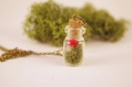 Red mushroom  green moss necklace  pendentif terrarium in a bottle woodland moss jewelry real moss nature jewelry  bottle necklace  gift