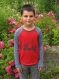 T-shirt - garçon - gris/rouge - 6 ans