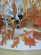 Noël : 10 figurines de noël en dentelle fsl orange