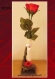 Soliflore/vase rouge bois flotte n°276. fabrication artisanale. 