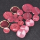 B65l1r / mercerie lot assortiment de 18 boutons plastique rose et rouge 13 à 26mm