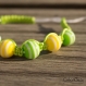 Bracelet shamballa pour femme/homme - série les marins - coton vert anis et perles de verre jaunes et vertes