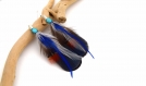 Boucles d'oreilles plumes bena - ethnic feather - plumes faisan et coq multicolores