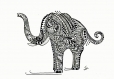 Elephant rotring