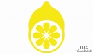 Citron applique thermocollant flex