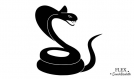 Cobra serpent flex thermocollant applique