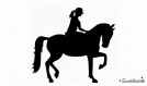 Cavaliere cheval equitation flex thermocollant