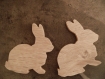 Mes petits lapins - support en bois  prêt à décorer