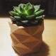 Cache pot cactus poly 5.5cm