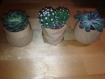 Ensemble de pot a cactus bois 5.5cm