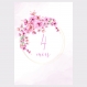 Cartes étape bébé fille ma première année mois par mois motif floral lot de 14 cartes en papier photo idéal cadeau naissance baby shower