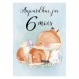 Cartes étapes pour les premiers mois de bébé, cartes photos pour les souvenirs de bébé, thème animaux, étape bébé, carte étape bébé fille