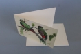 Carte de voeux quetzals porte bonheur