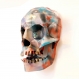 Projet diy papercraft: crâne humain