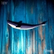 Projet diy papercraft: baleine bleue