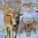 Vache bleue - toile 20 x 20 cm