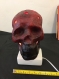 Lampe red skull