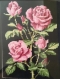 Roses sur toile noire