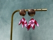 Boucles d'oreilles minimalistes colorées