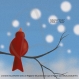 Carte postale « zouik » illustrée d’un rouge-gorge sur une branche sous les flocons 