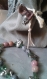Bracelet «spirit cat» en rhodochrosite et jaspe 