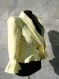 Elegant and stylish ladies yellow jacket