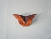 Barrette papillon callimorpha