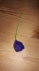 Rose violette en pate fimo pailletée 
