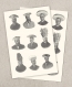 Collage, carte postale - scientist with mucshroom hat