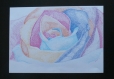 Rose arc en ciel, dessin original
