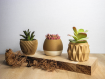 Pots à plantes design en fibres de bois collection 1
