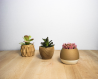 Pots à plantes design en fibres de bois collection 1