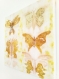 Tableau de teinture végétale *2 - oignon papillon