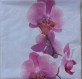 2 serviettes en papier orchidée (163)