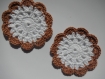 Lot de 2 mini napperons au crochet, fleurs au crochet 