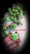 Ronds de serviettealu chocolat avec rose vert anis pour bapteme, mariage, anniversaire 