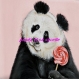 Transfert 14 cm x 14 cm le panda a la sucette rose n°1 imprime sur coton blanc 21 cm x 28 cm 