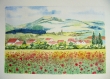 Peinture aquarelle paysage champ de coquelicot
