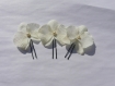 Pic à chignon, mariage, orchidée ivoire 