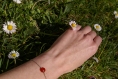 Bracelet d'agate rouge sur chaine en argent 