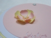 Faire-part rond fleurs (modéle ysaline), cercles concentrique personnalisable baptéme, naissance 