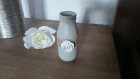 Petite bouteille/pot à lait/soliflore 